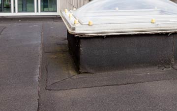 disadvantages of Port Wemyss flat roofs